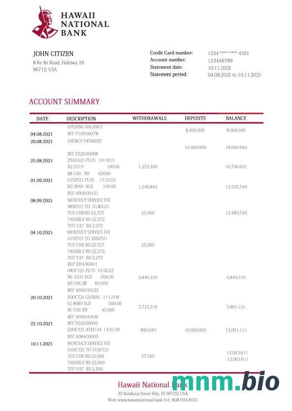 Hawaii National wyciąg bankowy Excel and PDF template